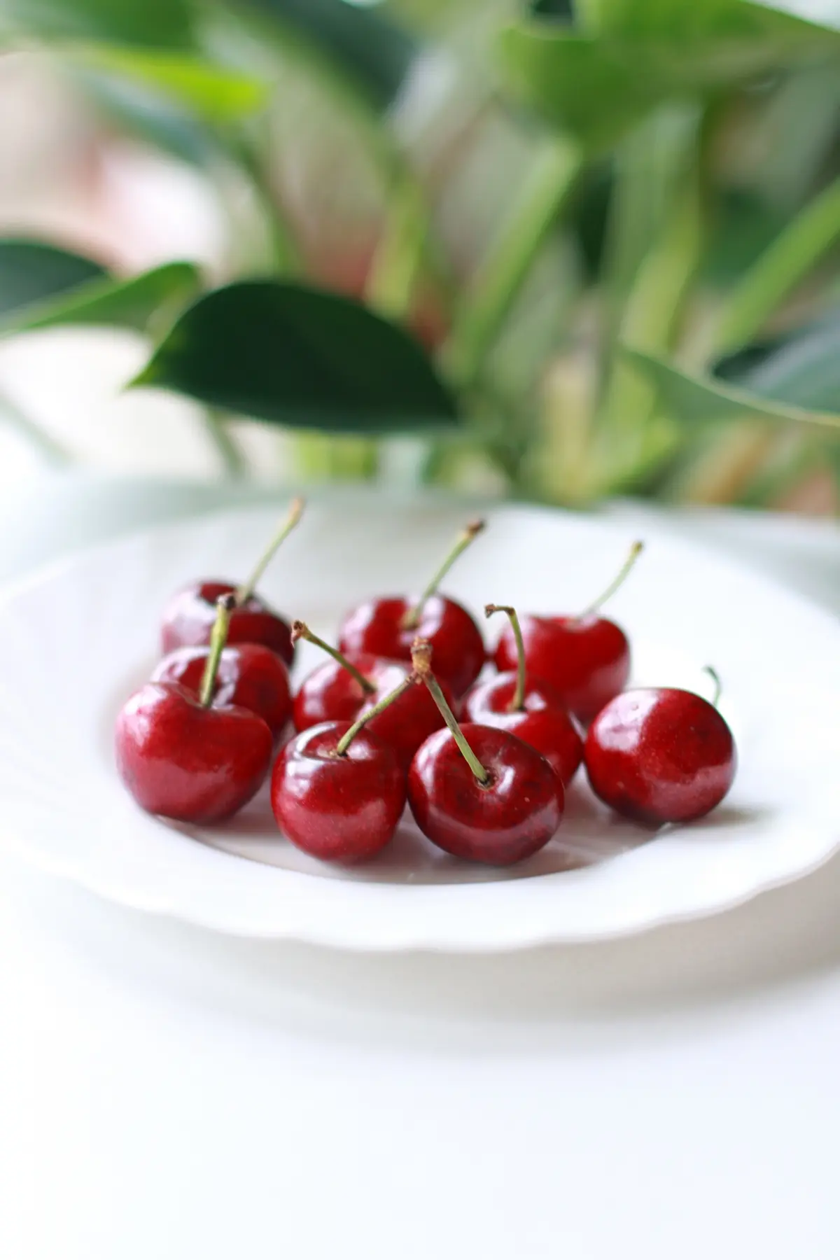 limit yourself to say 8 to 10 cherries per day on keto diet