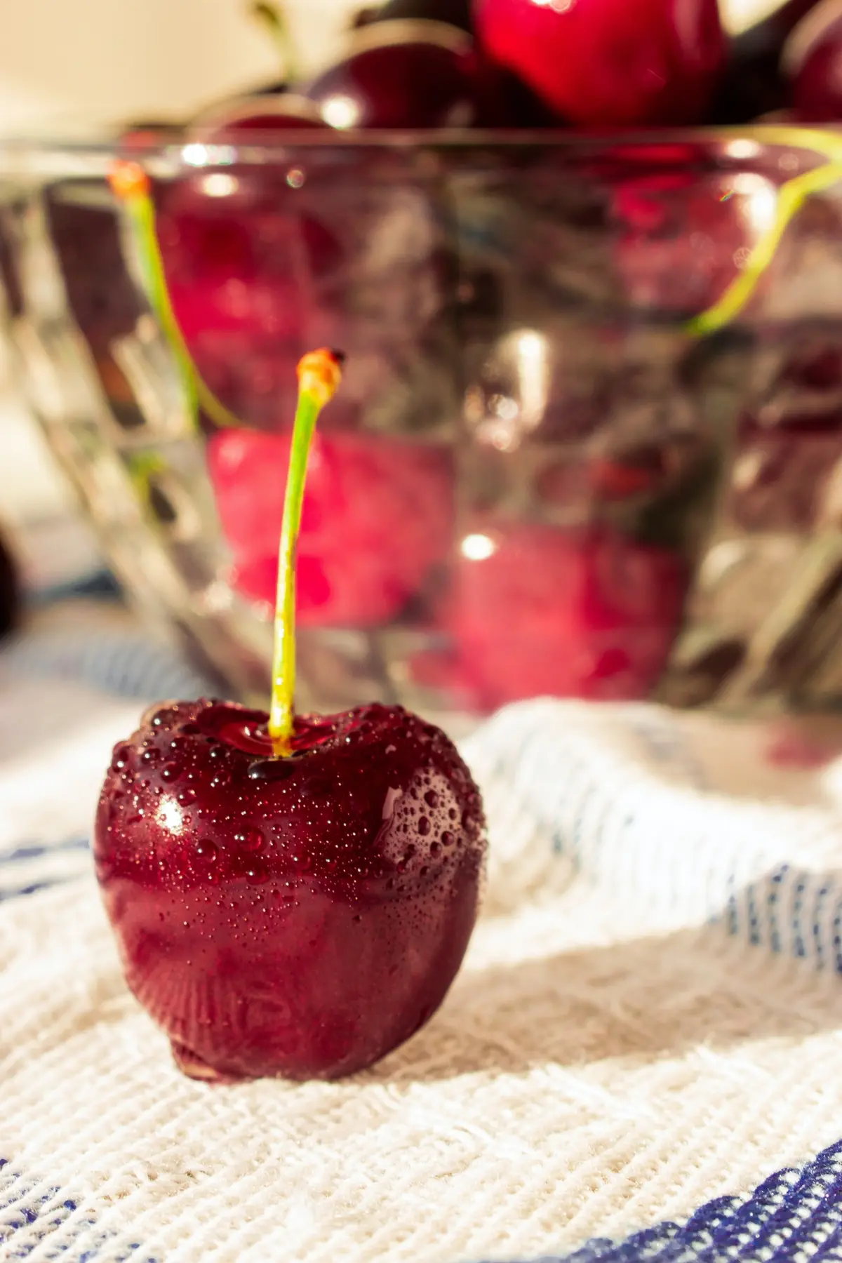 one red sweet cherry contains 1 gram net carbs